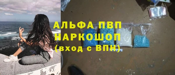 дмт Новокубанск