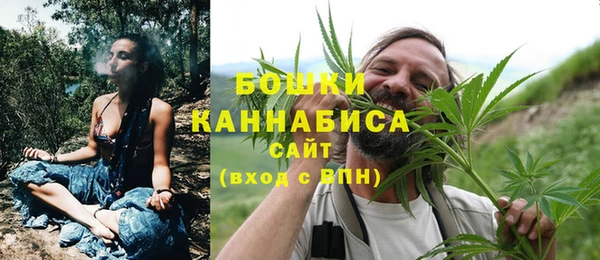 дмт Новокубанск