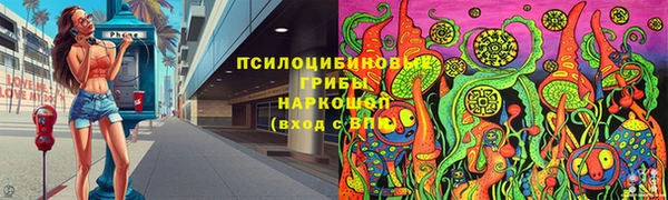 дмт Новокубанск