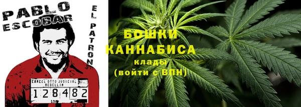 дмт Новокубанск