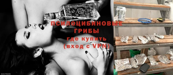 синтетический гашиш Новодвинск