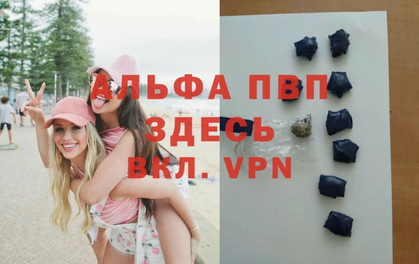 дмт Новокубанск