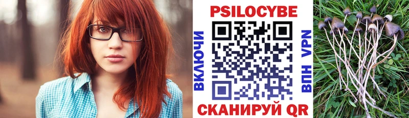Галлюциногенные грибы GOLDEN TEACHER  Солнечногорск 