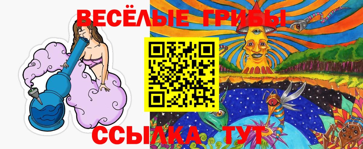Галлюциногенные грибы Psilocybe Солнечногорск